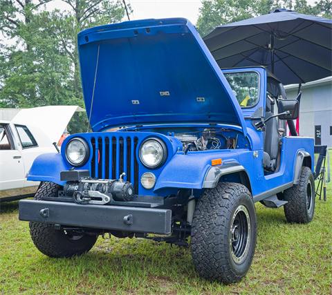 Summer Heat Wave Car Show 2025 photo 108