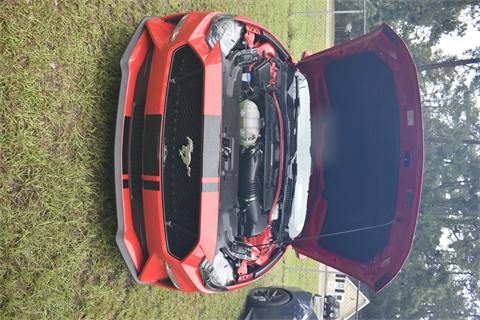 Summer Heat Wave Car Show 2025 photo 539