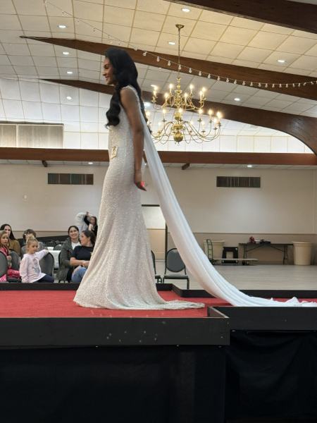 Miss Alee Scholarship Pageant 2025 photo 1006