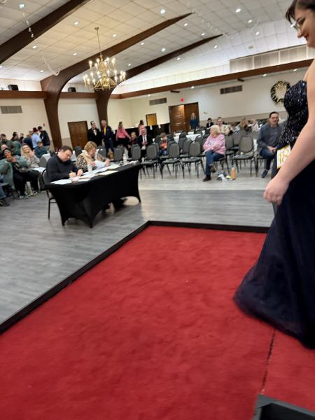 Miss Alee Scholarship Pageant 2025 photo 459