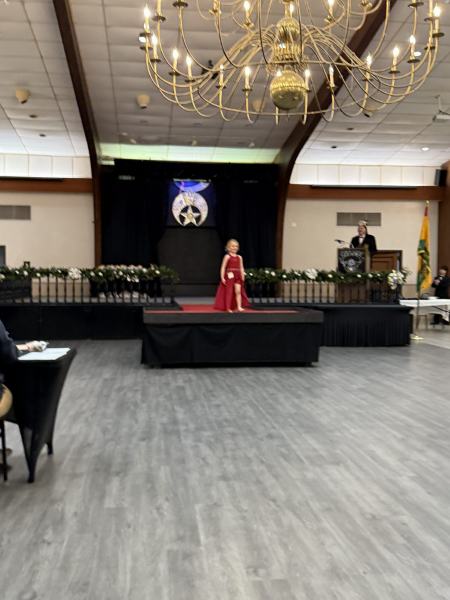 Miss Alee Scholarship Pageant 2025 photo 556