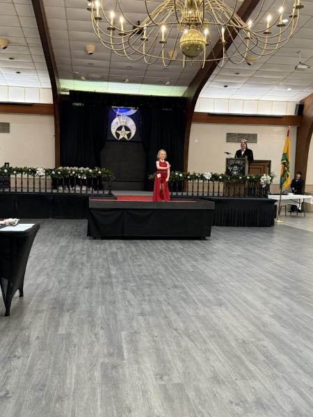 Miss Alee Scholarship Pageant 2025 photo 559