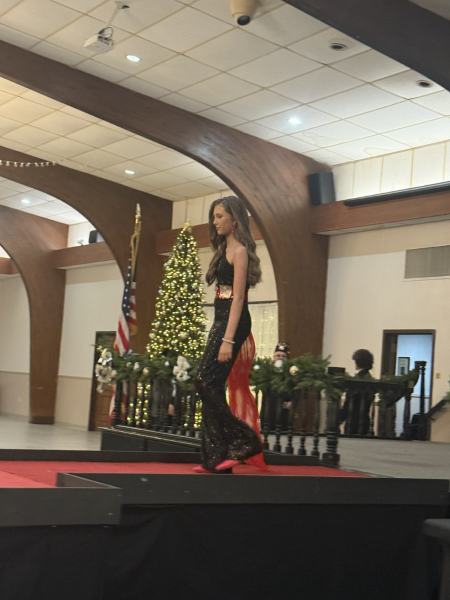 Miss Alee Scholarship Pageant 2025 photo 649