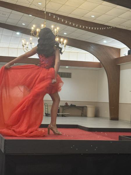 Miss Alee Scholarship Pageant 2025 photo 680