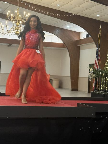 Miss Alee Scholarship Pageant 2025 photo 683