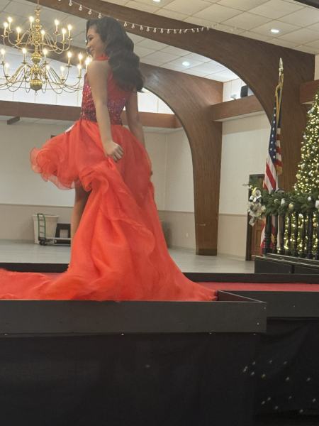 Miss Alee Scholarship Pageant 2025 photo 684