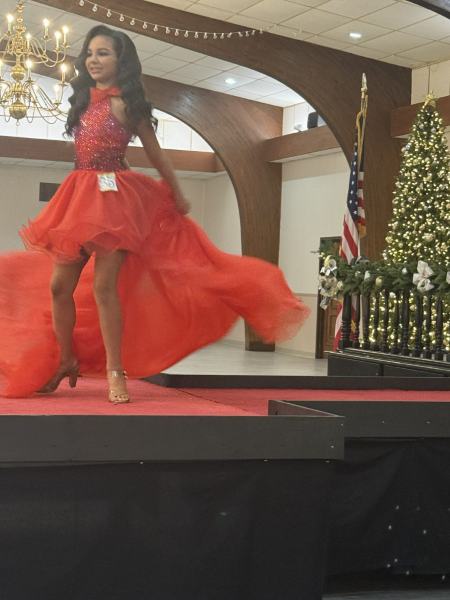 Miss Alee Scholarship Pageant 2025 photo 685