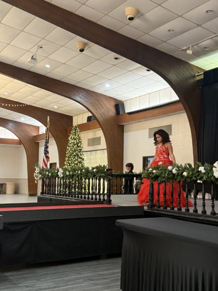 Miss Alee Scholarship Pageant 2025 photo 777
