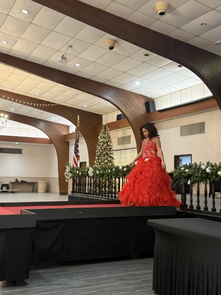 Miss Alee Scholarship Pageant 2025 photo 778