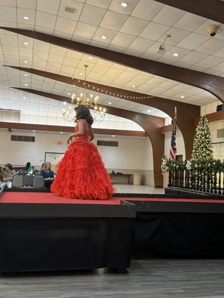 Miss Alee Scholarship Pageant 2025 photo 781