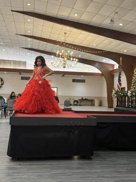 Miss Alee Scholarship Pageant 2025 photo 782