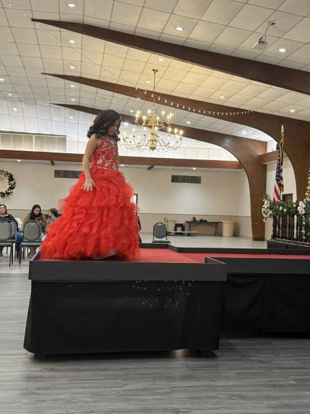 Miss Alee Scholarship Pageant 2025 photo 783