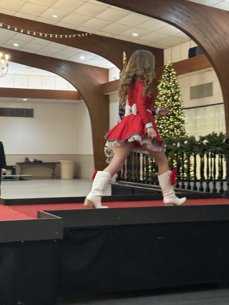 Miss Alee Scholarship Pageant 2025 photo 802