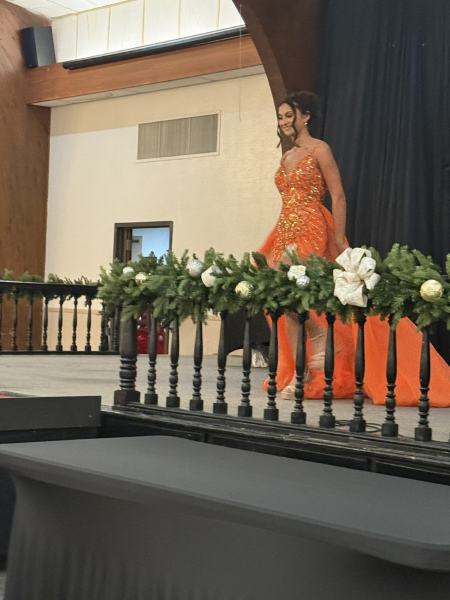 Miss Alee Scholarship Pageant 2025 photo 806