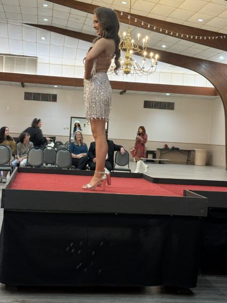 Miss Alee Scholarship Pageant 2025 photo 823
