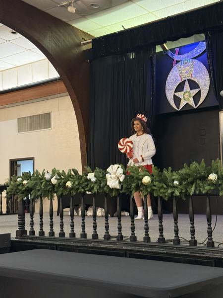Miss Alee Scholarship Pageant 2025 photo 827