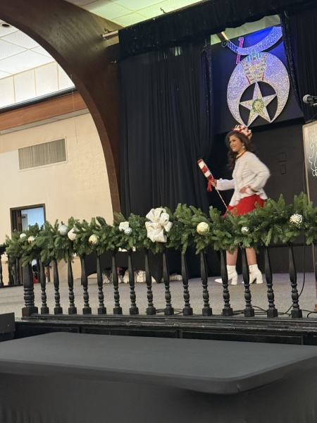 Miss Alee Scholarship Pageant 2025 photo 828