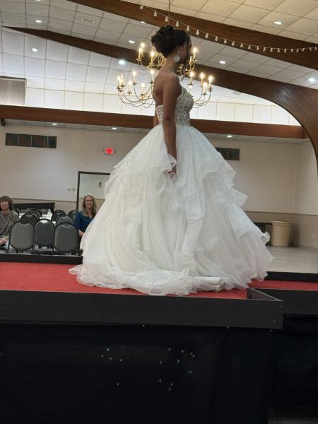 Miss Alee Scholarship Pageant 2025 photo 862