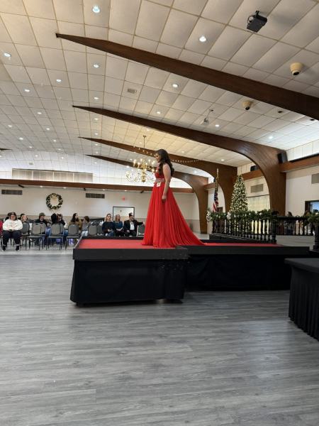 Miss Alee Scholarship Pageant 2025 photo 888