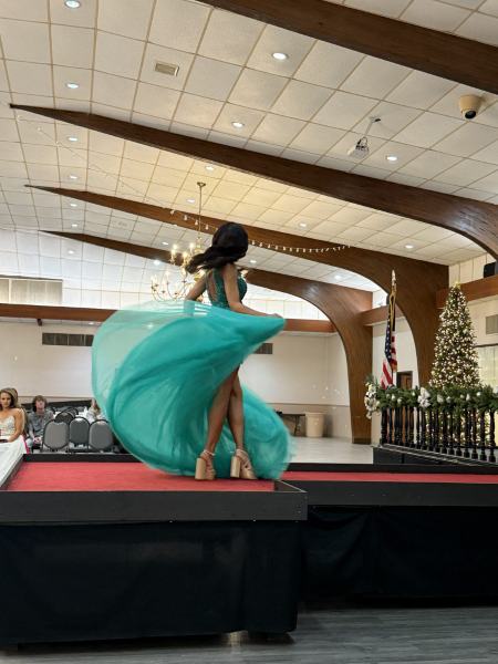 Miss Alee Scholarship Pageant 2025 photo 939