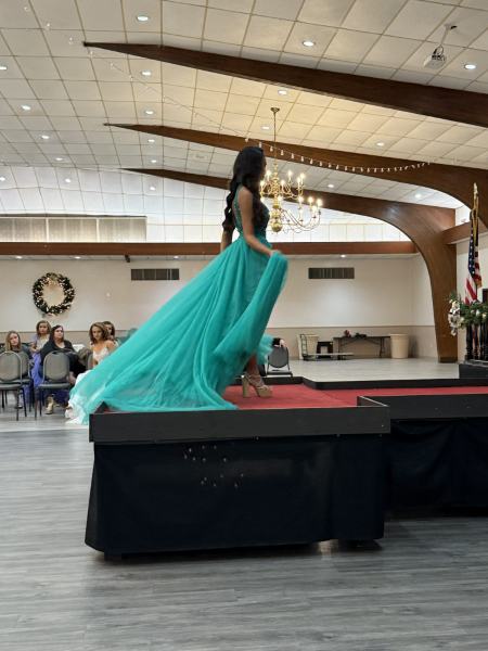 Miss Alee Scholarship Pageant 2025 photo 952