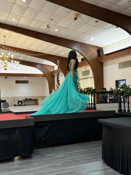 Miss Alee Scholarship Pageant 2025 photo 954
