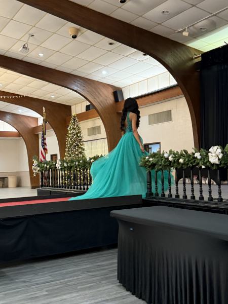 Miss Alee Scholarship Pageant 2025 photo 955