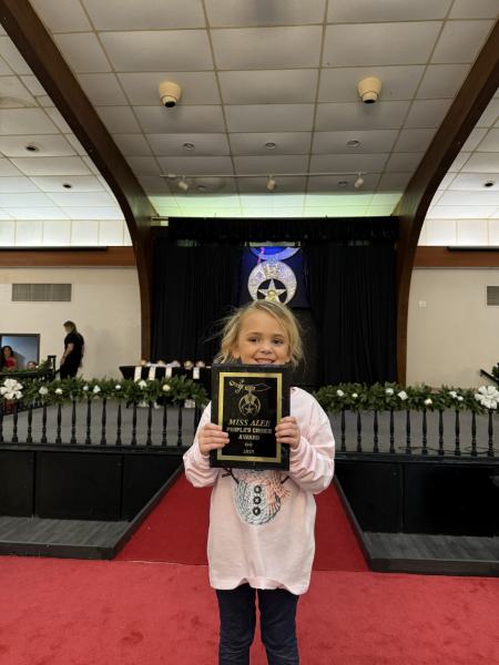 Miss Alee Scholarship Pageant 2025 photo 978