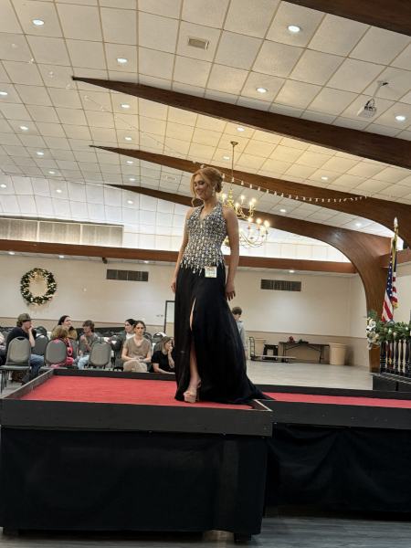 Miss Alee Scholarship Pageant 2025 photo 989