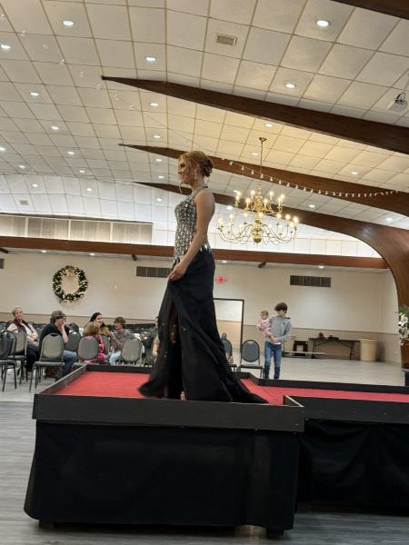 Miss Alee Scholarship Pageant 2025 photo 990