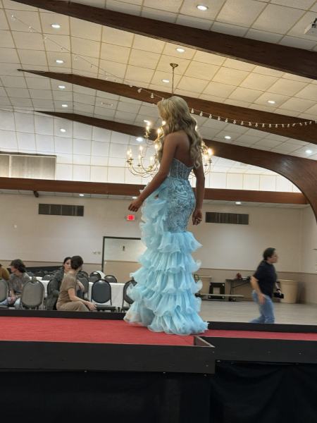 Miss Alee Scholarship Pageant 2025 photo 996
