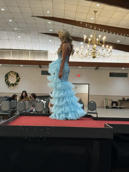 Miss Alee Scholarship Pageant 2025 photo 997