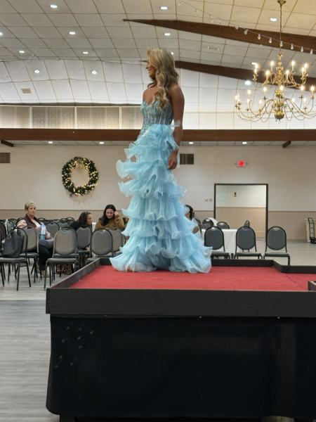 Miss Alee Scholarship Pageant 2025 photo 998